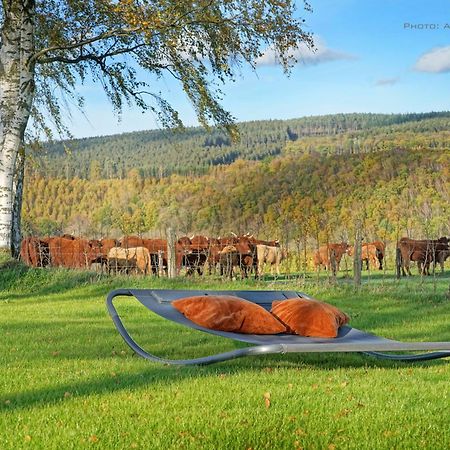 Gite Altitude 399 A Trois-Ponts Basse-Bodeux Экстерьер фото