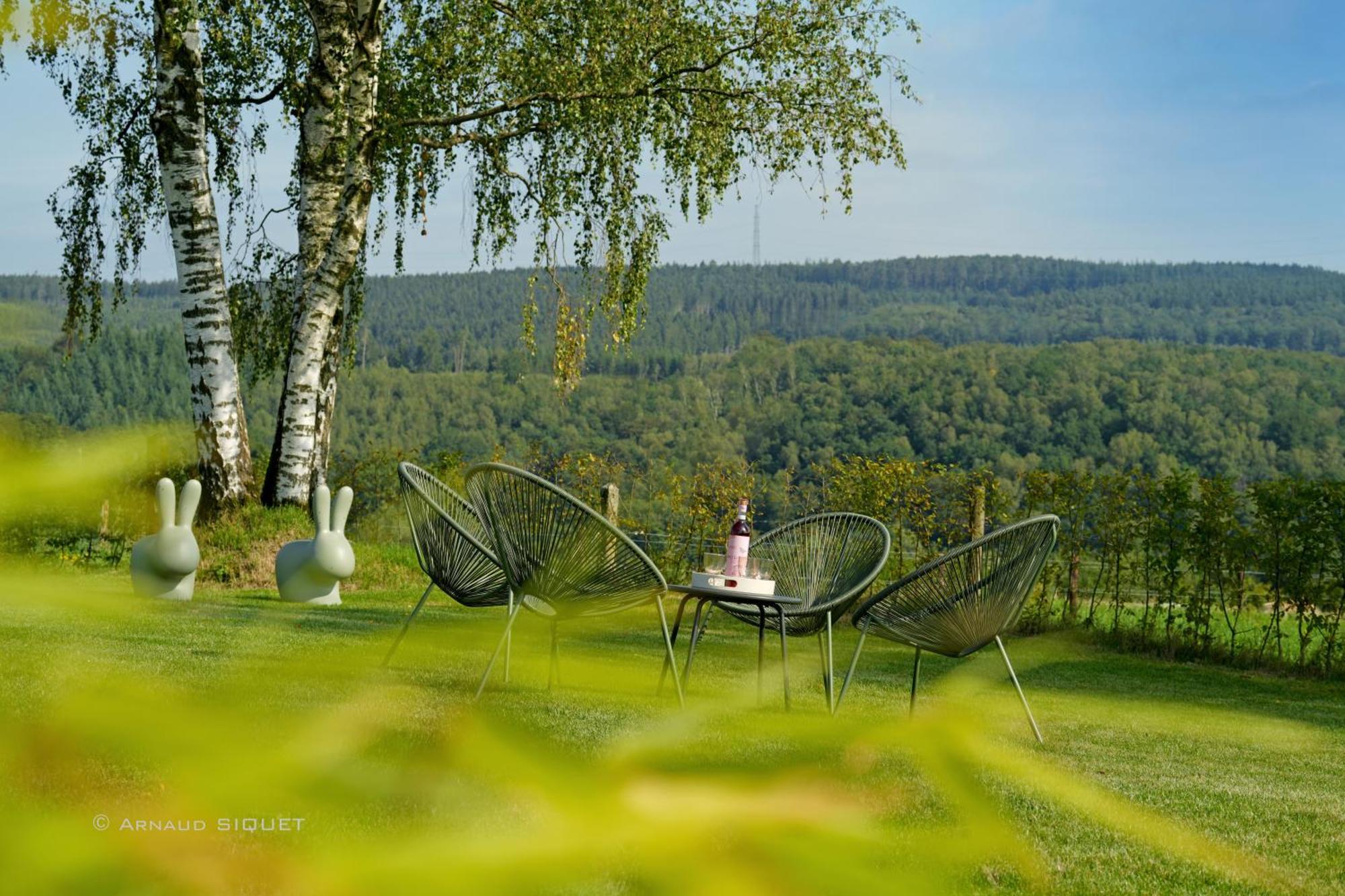 Gite Altitude 399 A Trois-Ponts Basse-Bodeux Экстерьер фото